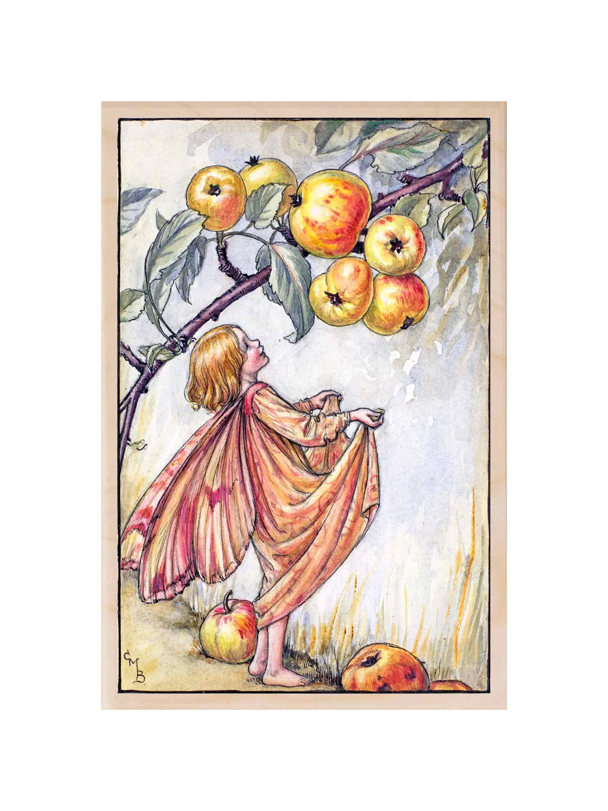 The Flower Fairies Wooden Postcards Apple Fairy Weston Table