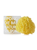 Compagnie de Provence Natural Sea Sponge Weston Table