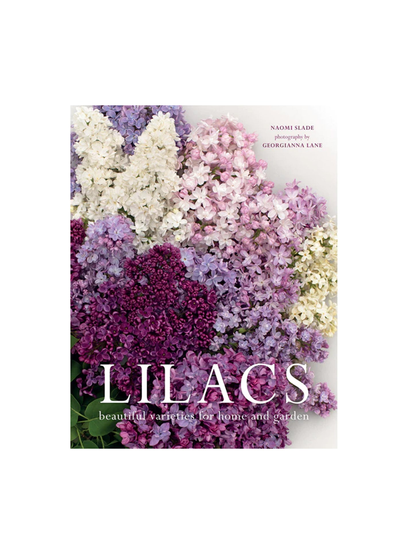 Lilacs Weston Table