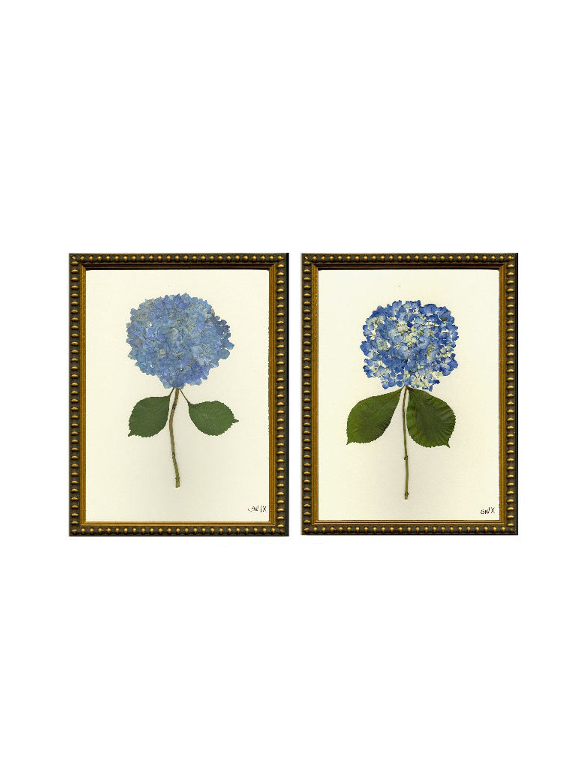 Nantucket Blooms Giclées Blue Hydrangea Weston Table