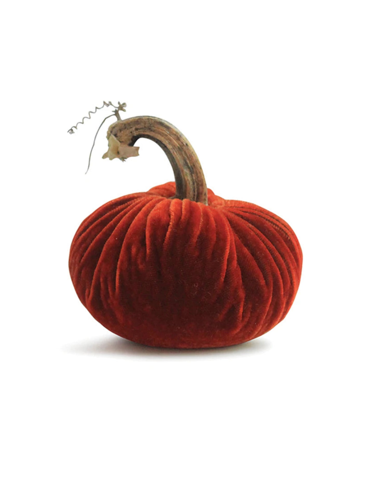 Velvet Pumpkin Collection