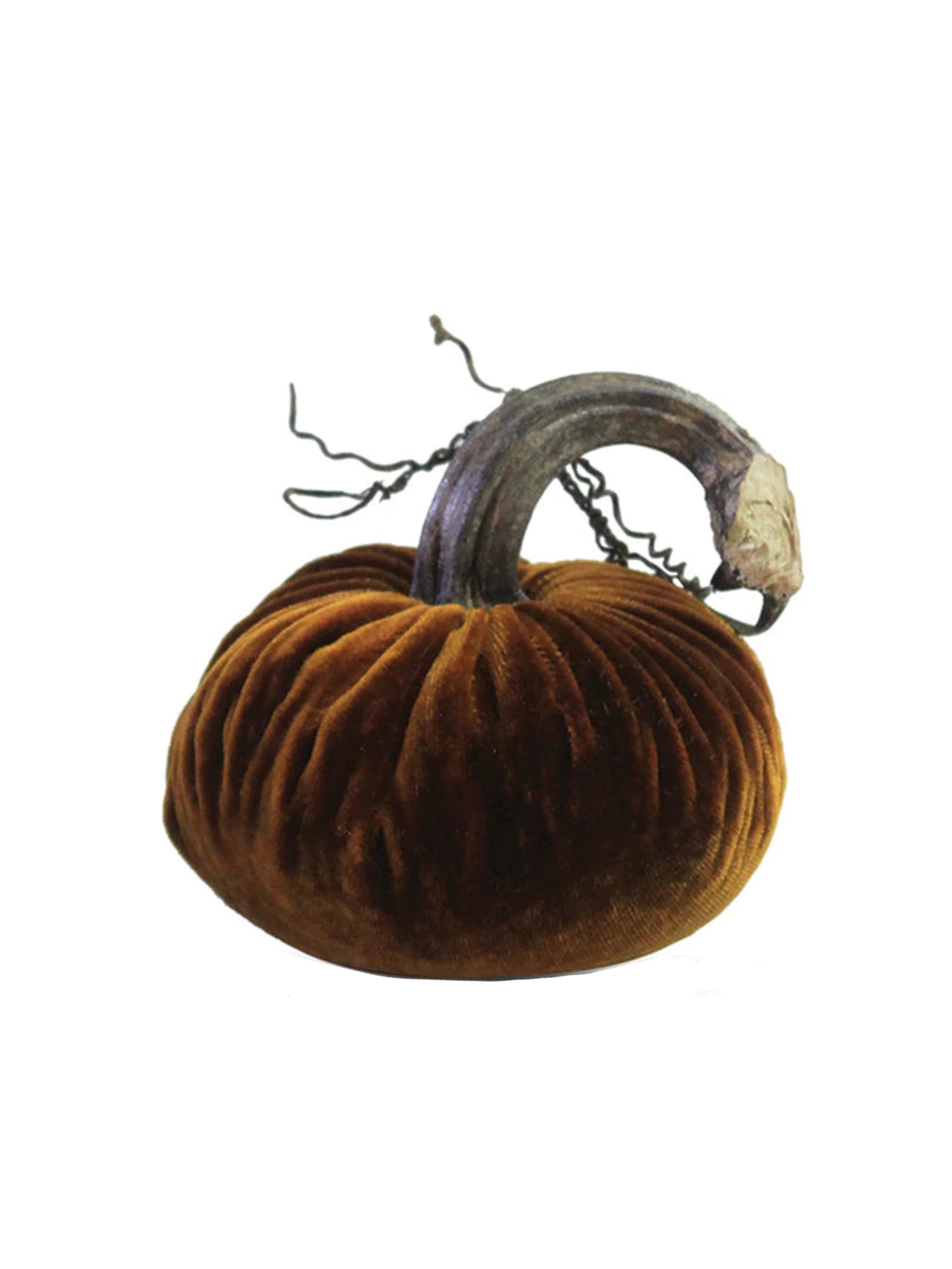 Velvet Pumpkin Collection