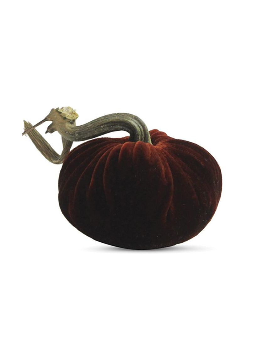 Plush Pumpkin Saffron Pumpkins Weston Table