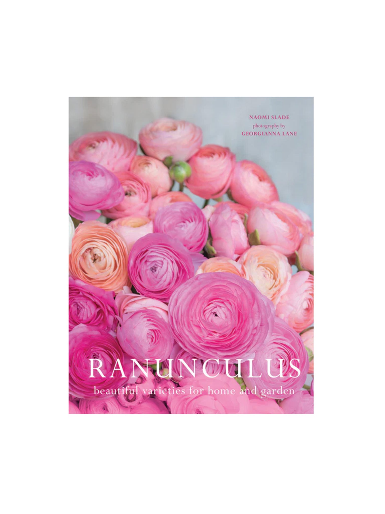 Ranunculus Weston Table