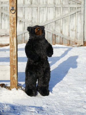 Standing Black Bear Weston Table 