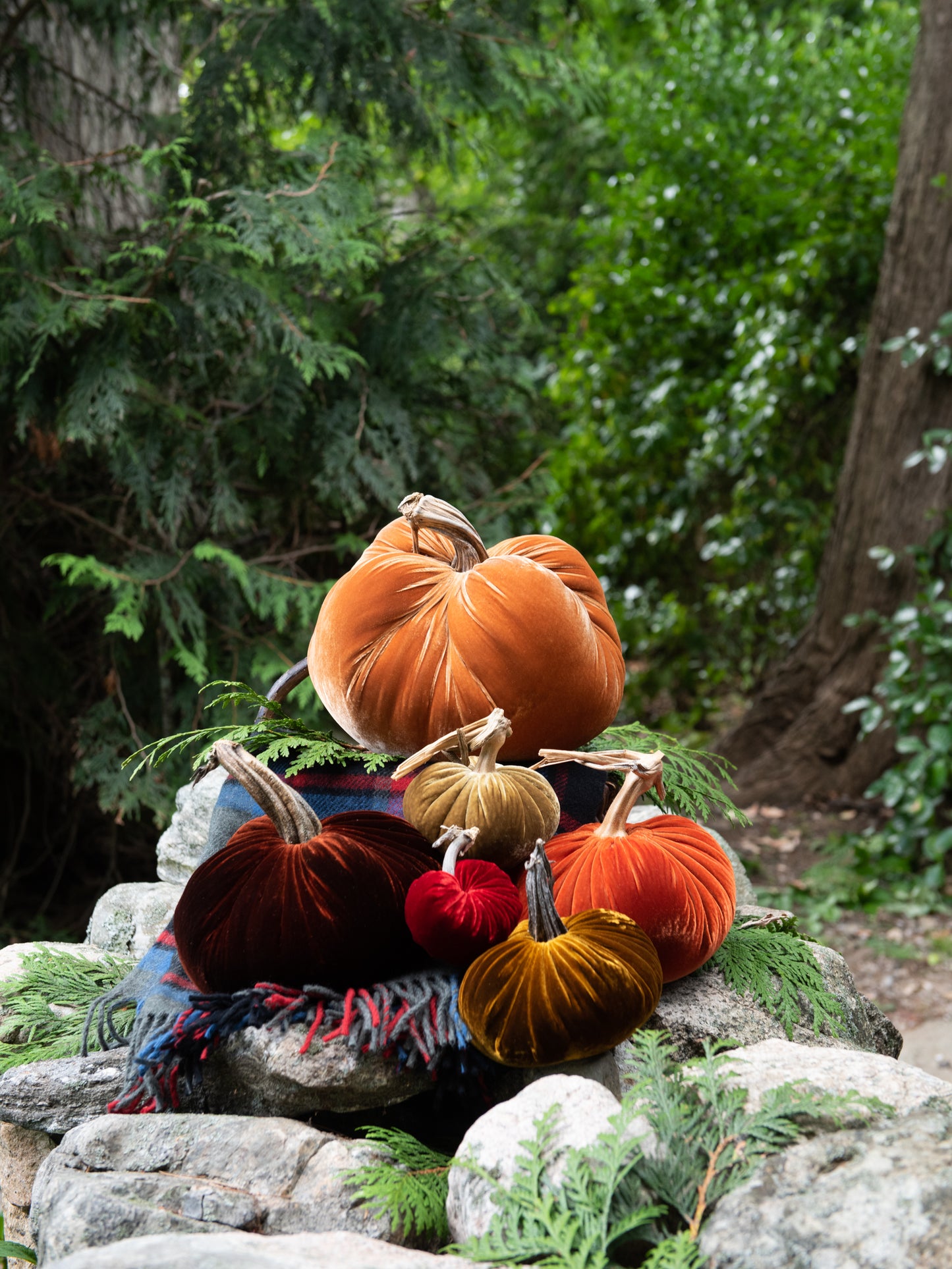 Velvet Pumpkin Collection Weston Table